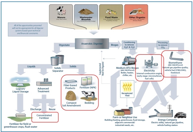 Anaerobic Digester System - EPA