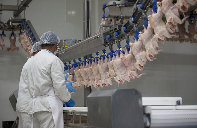 Steam Injection for Food Processing Industry