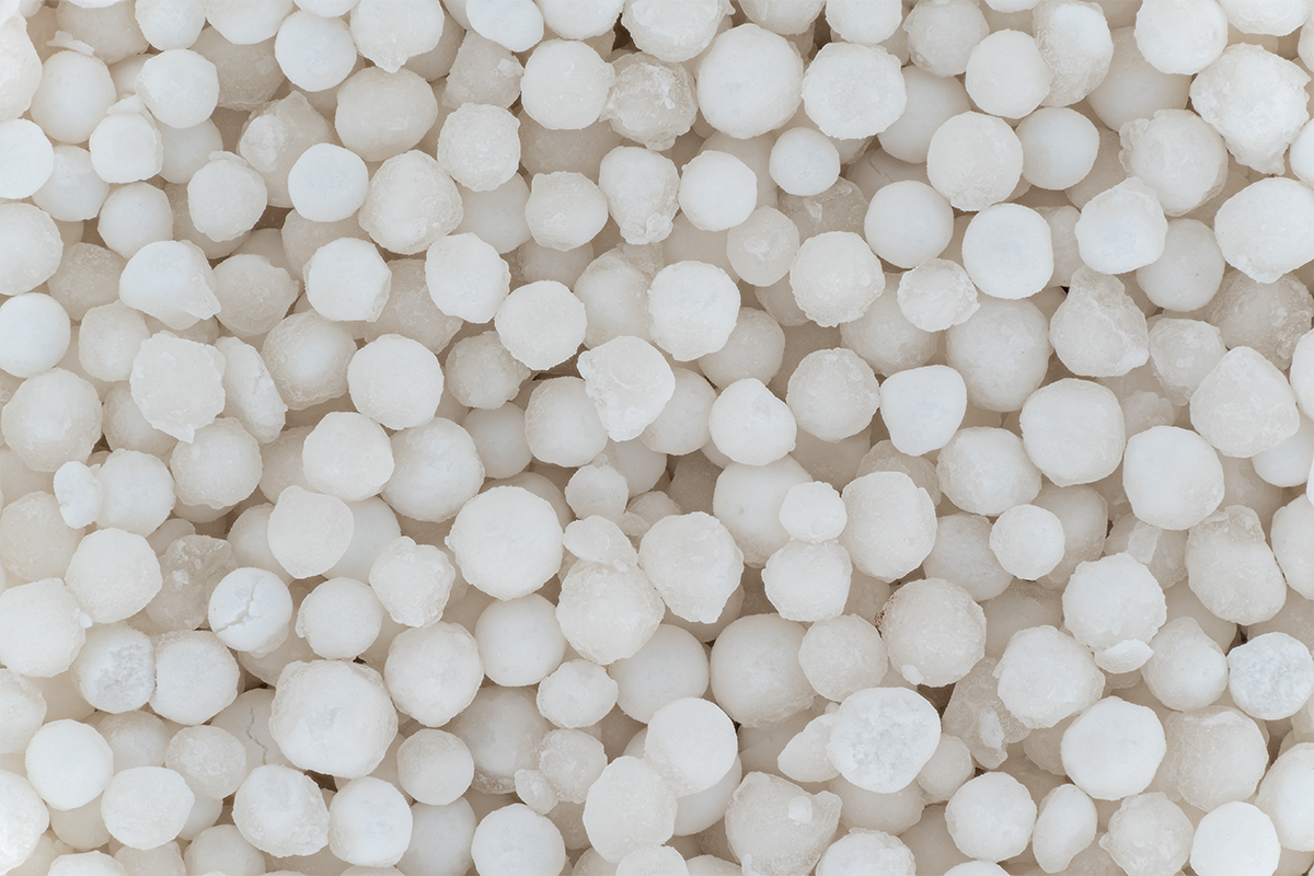 Starch Cooking Article