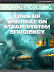 Chemical Processing Steam Systems eBook
